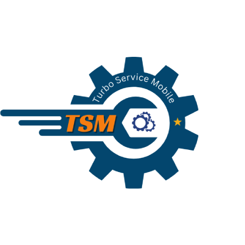 TSM Tool - تفعيل سنوي